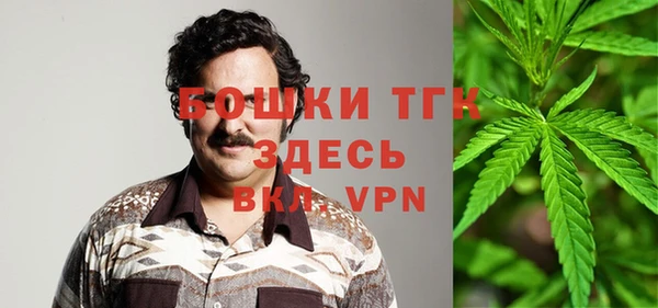 ешки Алексин