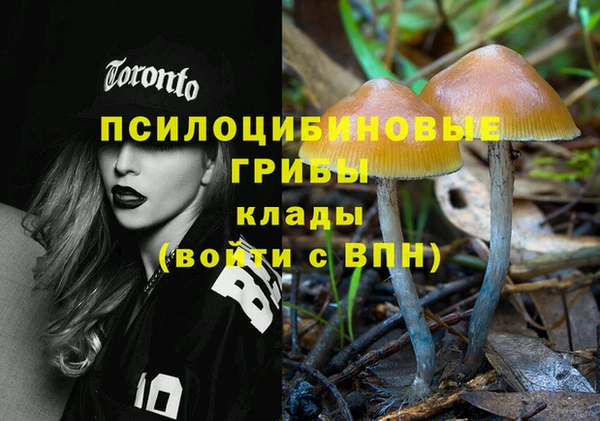 героин Алзамай