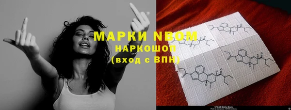 ешки Алексин