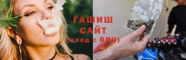 ешки Алексин