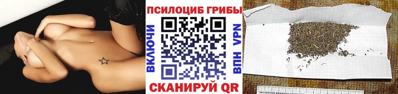 Купить закладки  Пересвет  Псилоцибиновые грибы прущие грибы 