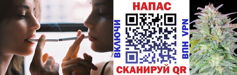 Канабис VHQ Пересвет